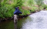 Fishing in stream acceleration